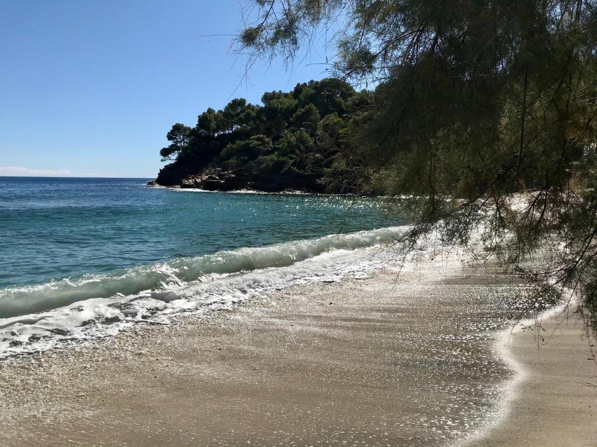 Villa Les Alizes Rayol-Canadel-sur-Mer Bagian luar foto