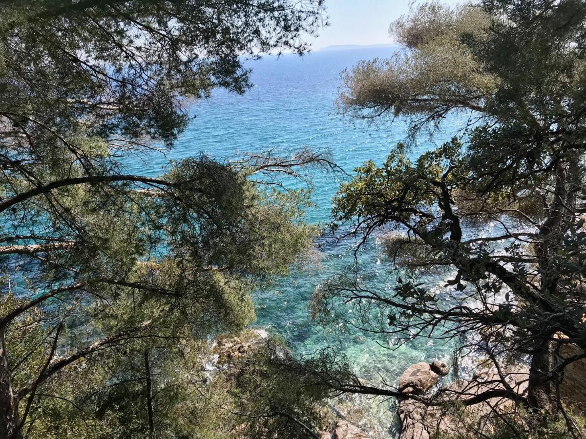 Villa Les Alizes Rayol-Canadel-sur-Mer Bagian luar foto