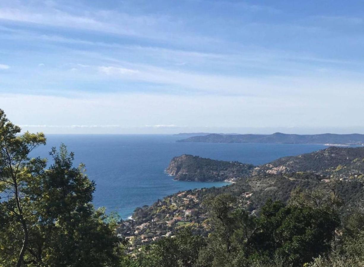 Villa Les Alizes Rayol-Canadel-sur-Mer Bagian luar foto