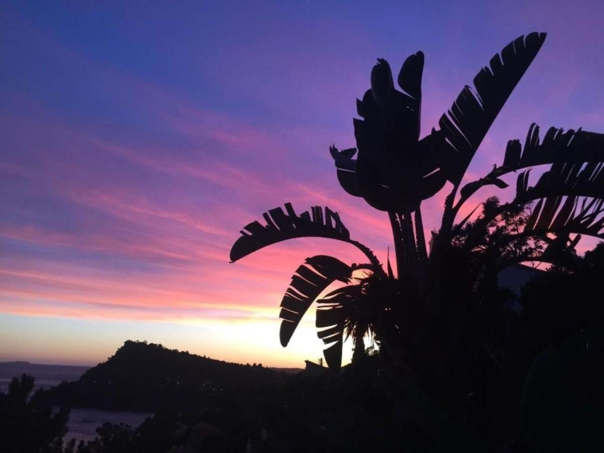 Villa Les Alizes Rayol-Canadel-sur-Mer Bagian luar foto