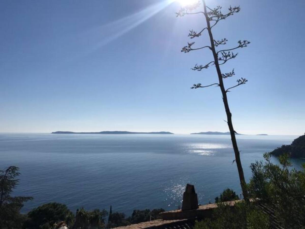 Villa Les Alizes Rayol-Canadel-sur-Mer Bagian luar foto