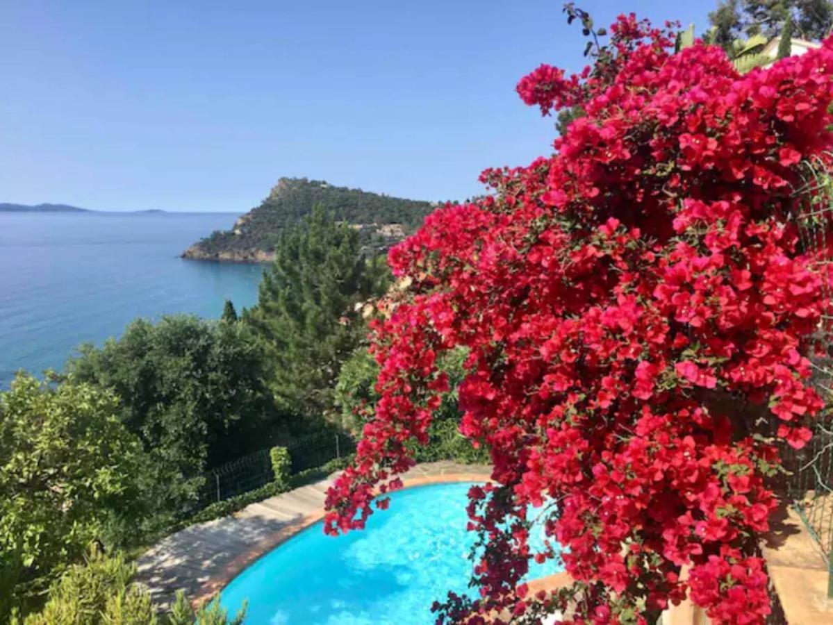 Villa Les Alizes Rayol-Canadel-sur-Mer Bagian luar foto