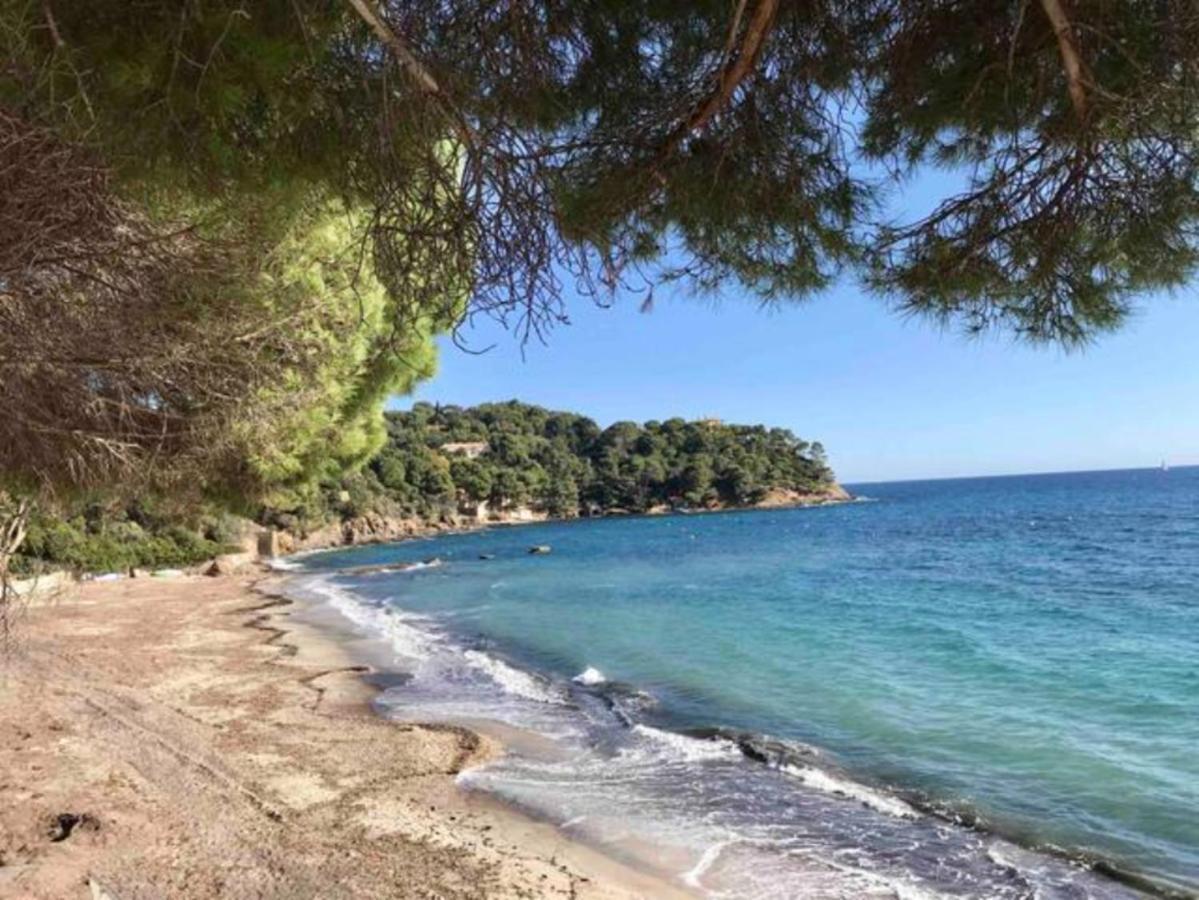 Villa Les Alizes Rayol-Canadel-sur-Mer Bagian luar foto