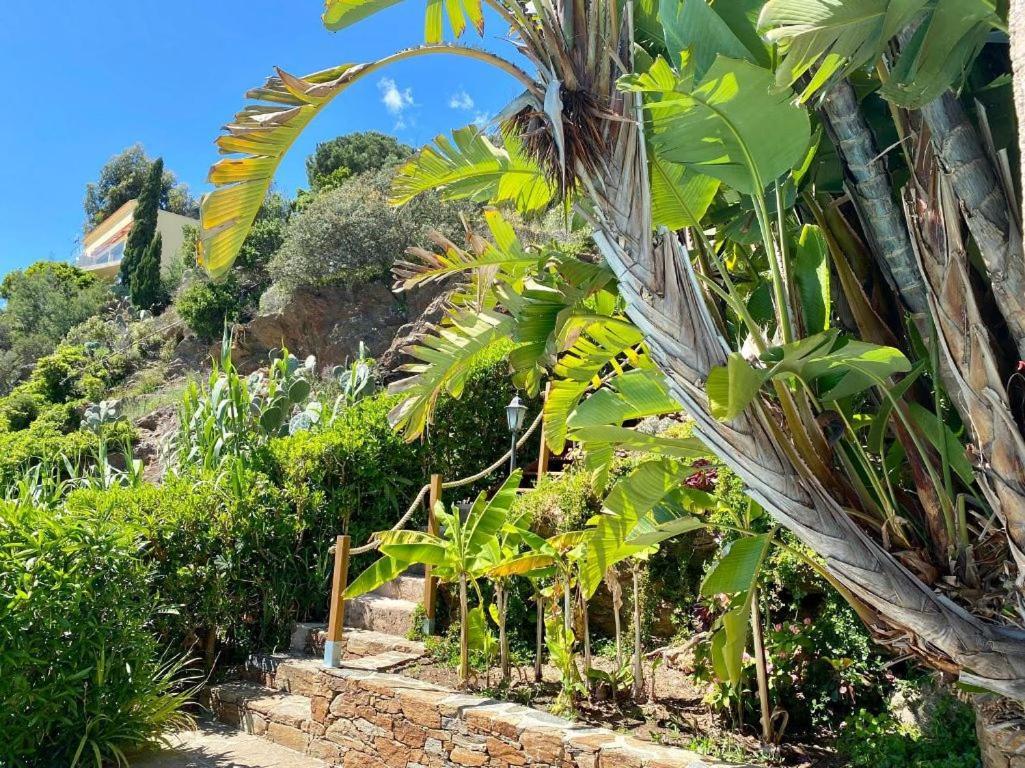 Villa Les Alizes Rayol-Canadel-sur-Mer Bagian luar foto