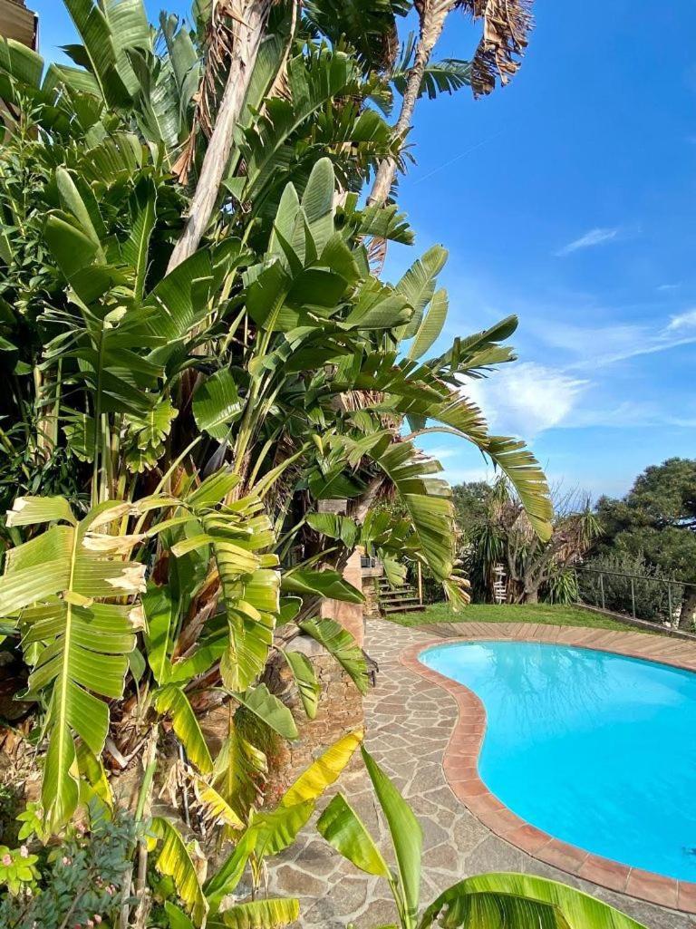 Villa Les Alizes Rayol-Canadel-sur-Mer Bagian luar foto