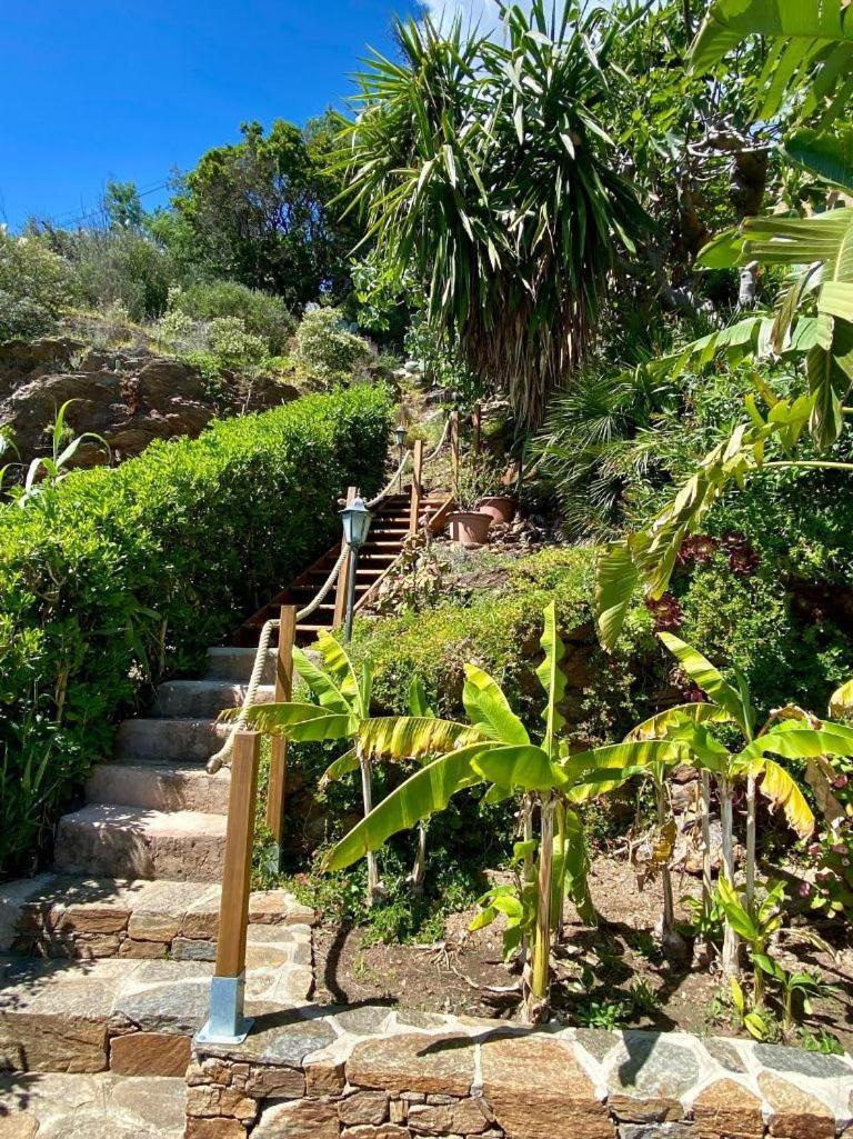 Villa Les Alizes Rayol-Canadel-sur-Mer Bagian luar foto
