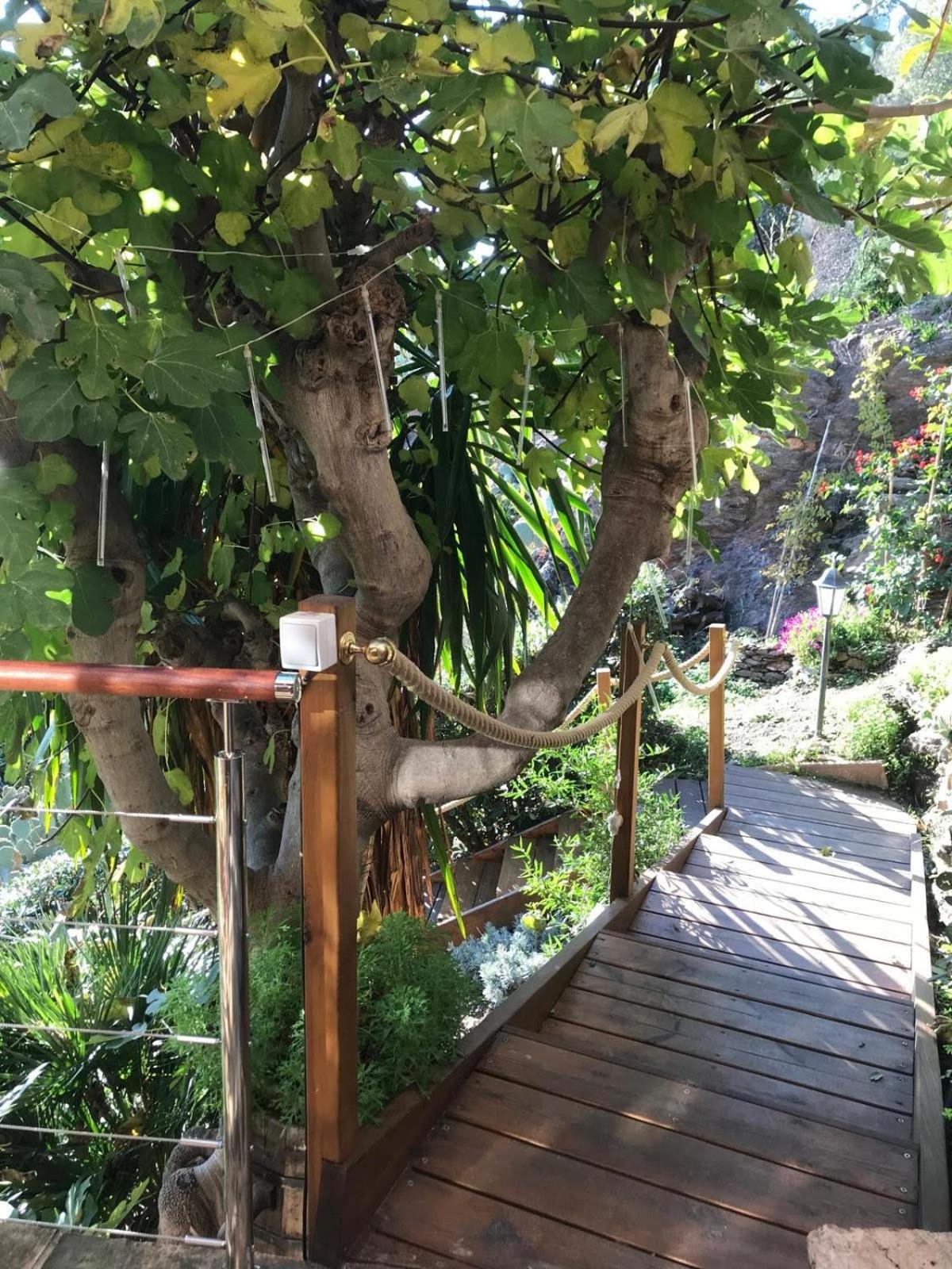 Villa Les Alizes Rayol-Canadel-sur-Mer Bagian luar foto